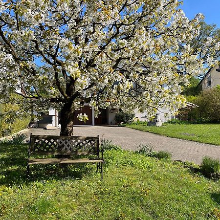 Ferienwohnung Am Kirschbaum Uhldingen-Mühlhofen Εξωτερικό φωτογραφία
