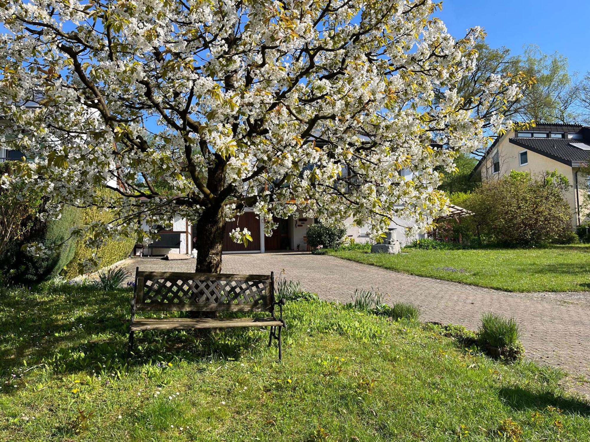 Ferienwohnung Am Kirschbaum Uhldingen-Mühlhofen Εξωτερικό φωτογραφία